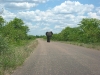 Africa 1 028